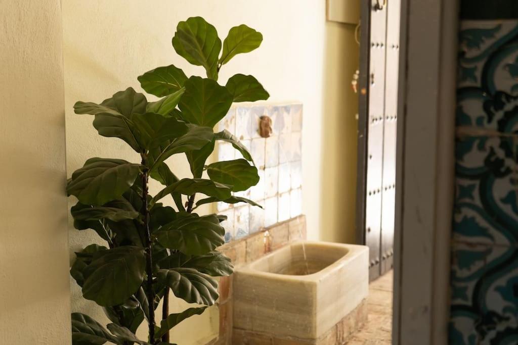 Nueva Casa Boutique En El Centro De Vakantiehuis